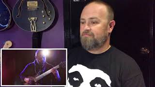 Electric Reactions (ANIMALS AS LEADERS -THE BRAIN DANCE)!!!!!