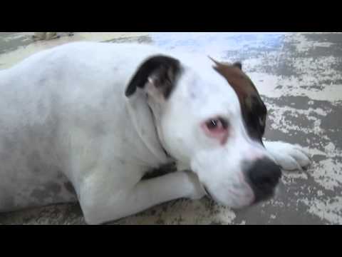 Little 6-month old Lola at her first day of daycare...EVER!