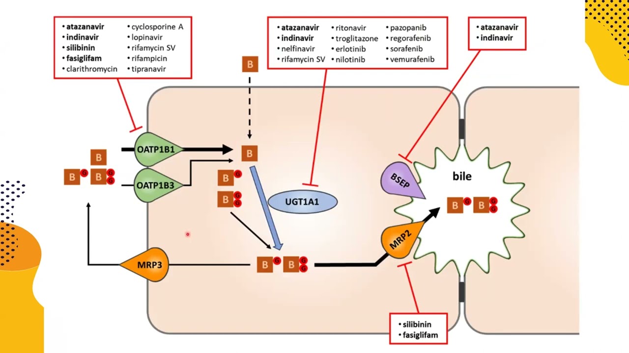 Abordaje de la Ictericia
