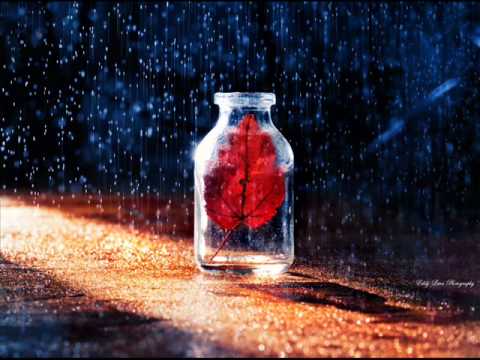 Cash-flex- Rapatack -duygular.2013