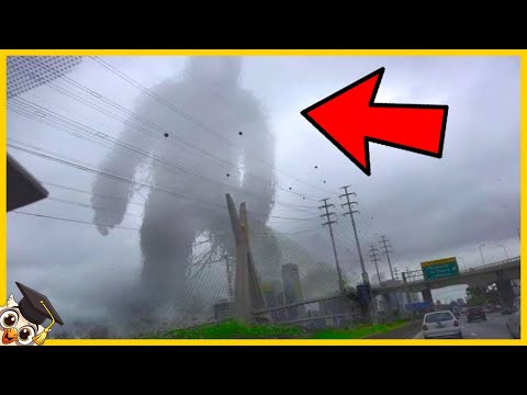 10 Giant Creatures Captured in the Sky