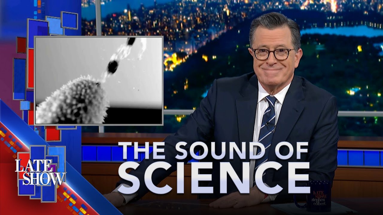 The Sound Of Science: Crabs Feel Pain | Squirting Cucumbers | Tripping Egyptians