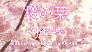 フルート演奏　Flute  桜の栞　AKB48  　Sakura no Shiori by AKB48