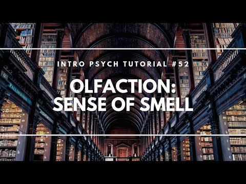 Olfaction: Sense of Smell (Intro Psych Tutorial #52)