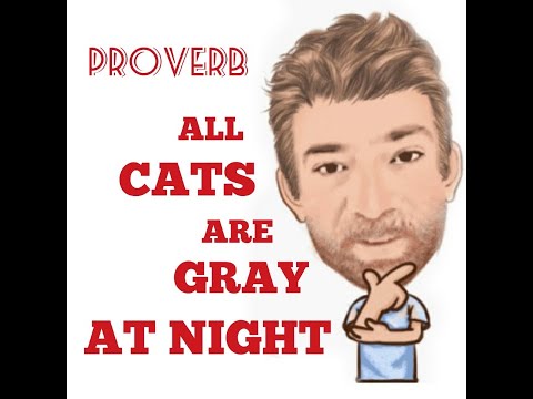 English Tutor Nick P Proverbs (297) All Cats Are Gray in the Dark - Origin