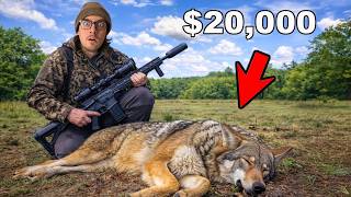 I Hunted in a Giant Coyote Tournament!
