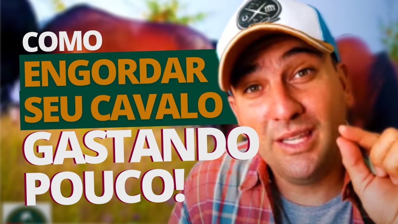 Dicas para ENGORDAR o CAVALO GASTANDO POUCO e preservando a saúde do animal!