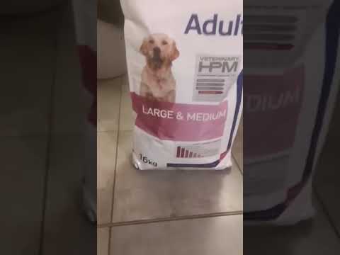 Croquettes VIRBAC Vetenary HPM Adult Large et Medium pour chien adulte - Zoomalia