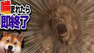 噛まれたら即終了 バイオハザードRE:4 / part435