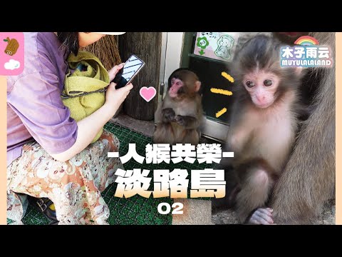 Awaji Island, Japan Monkey Center Baby Monkey Naruto Bridge Whirlpool Awaji Island Food Tokushima