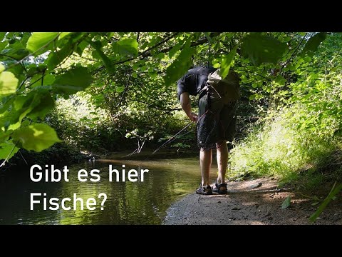 Fantastic FISHING on the SMALL stream full of FISH!