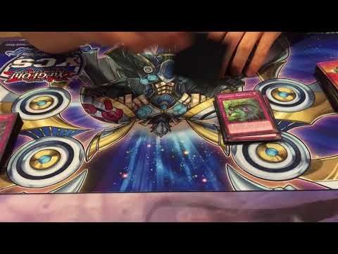 Paleozoic Musketeer First Place Box Tournament Deck Profile