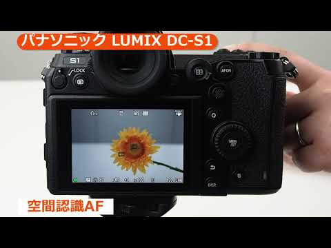6724【ショット数750枚‼︎極美品】パナソニック LUMIX DC-S1ボディ