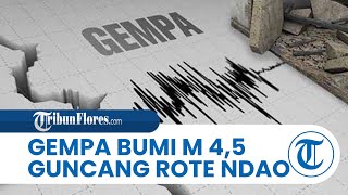 Gempa Bumi Berkekuatan Magnitudo 4,5 Guncang Rote Ndao NTT Pagi Tadi, BMKG: Tak Berpotensi Tsunami