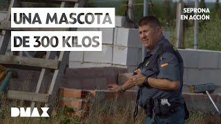 Thumbnail del capítulo