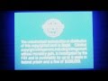 Warner Home Video Logo Full Screen With FBI Warning