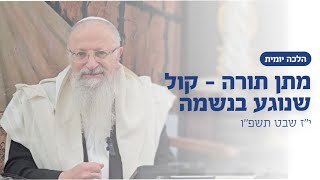מתן תורה - קול שנוגע בנשמה | הרב שמואל אליהו | הלכה יומית | י״ז שבט תשפ״ו (הרב שמואל אליהו) - התמונה מוצגת ישירות מתוך אתר האינטרנט יוטיוב. זכויות היוצרים בתמונה שייכות ליוצרה. קישור קרדיט למקור התוכן נמצא בתוך דף הסרטון