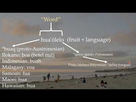 Comparisons between Hawaiian and other Austronesian languages PART 1