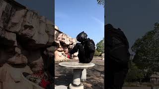 Vibe Rider ? ?? - Good Morning Pine Apple_Looking Very Good Very Nice ??