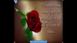 enrique iglesias yo te amo