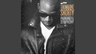 Parking Lot Symphony