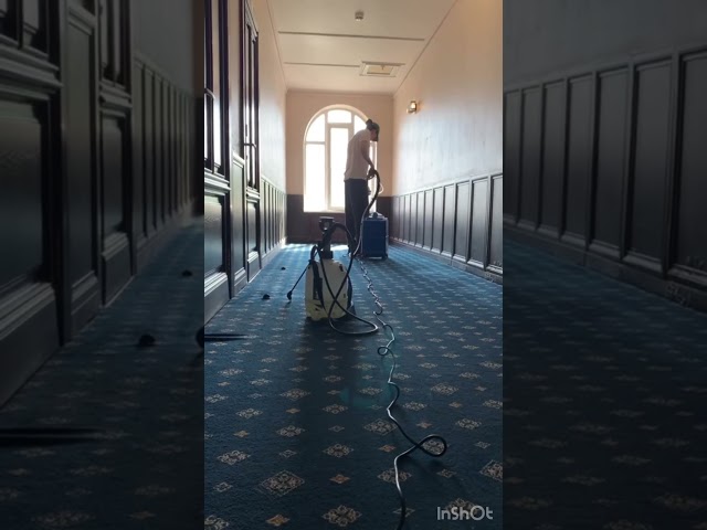 Химчистка ковролина в офисах 