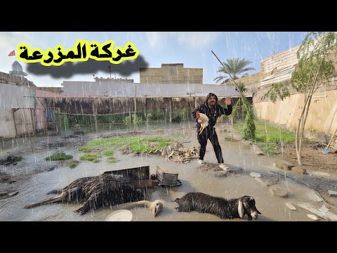 العاصفة تضرب المزرعة 