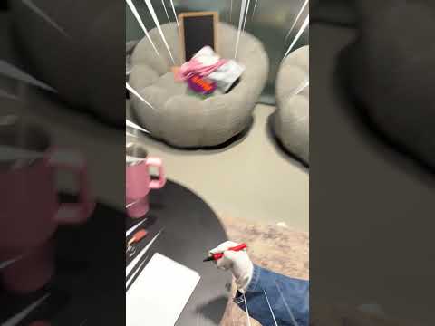 ציפיתם לזה??