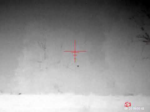 Positive identification Raccoon at 433 yards. ATN Thor 4 640x480 4-40 thermal scope