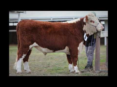 2021 FBNZ Hook & Overall Results