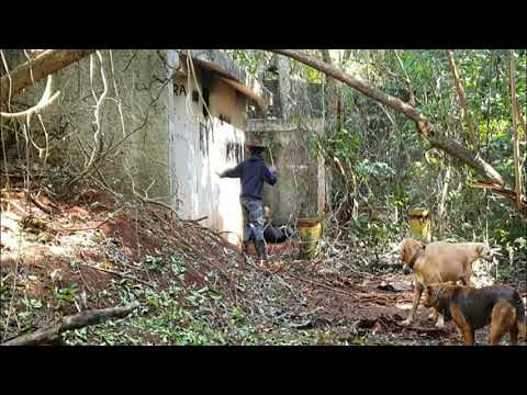 FAZENDEIRO SEQUESTRADO PELA CRIATURA NA LENDA DA CRIATURA.