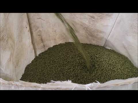 Heupelletspresse, Herstellung von Futterpellets Linie für Heupellets mgl 800