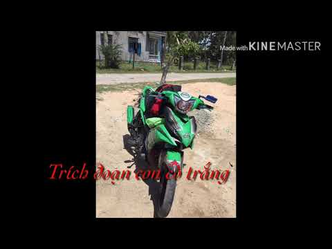 Trích đoạn con cò trắng -tác giả thu -trinh bai Nguyễn phú