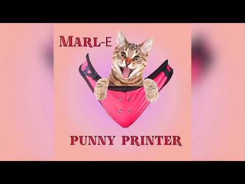 Marl-E Punny Printer