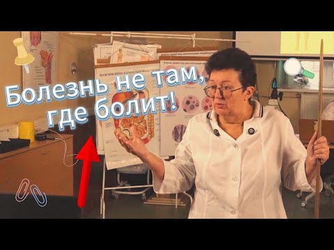 Болит живот, а причина совсем в другом месте!