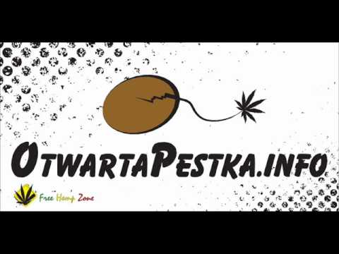 Zulica   Papro Dziad & Funkastik Crew Kinior   sax solo