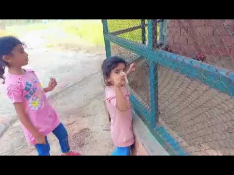 Aroosh Eshal watching nature .