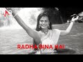 Radha Bina Hai Kishen Kanhaiya DJ Haq Anil Kapoor Shilpa Shirodkar Bollywood Remix