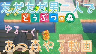 【ゆるだん】はじめての通信プレイの巻【あつまれどうぶつの森】