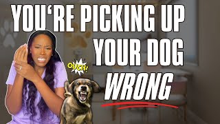 How to SAFELY Pick Up Your DOG WITHOUT Getting Bit