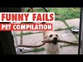 Funny Dogs And Cats Silly Pet Fails Compilation