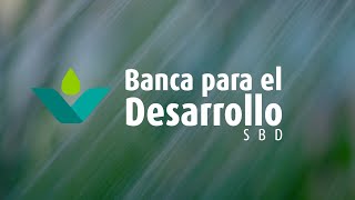 CADENA NACIONAL - Sistema Banca para el Desarrollo