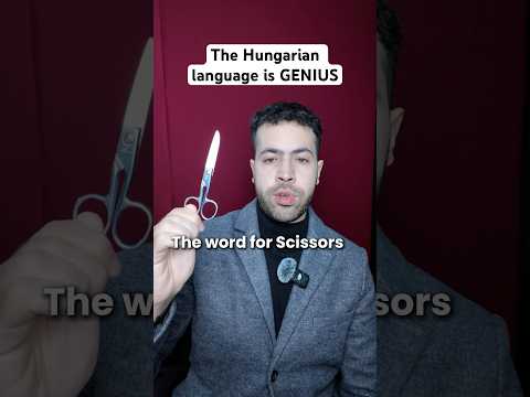 A magyar nyelv ZSENIÁLIS! #nyelv #vicces #magyarország