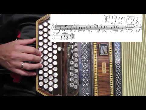 Hoamreara Boarischer - Lernphase