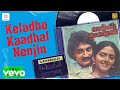 Mella Pesungal Keladho Kaadhal Nenjin Lyric Vasanth Ilaiyaraaja