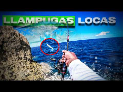 A DREAM Day for any Spinning Angler [Llampugas and Amberjacks] | Lured Vlog 372