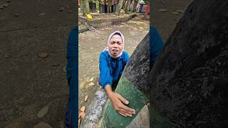 Download lagu Poor Nci is crying😭 #trendingshorts mp3 Download lagu Poor Nci is crying😭 #trendingshorts mp3