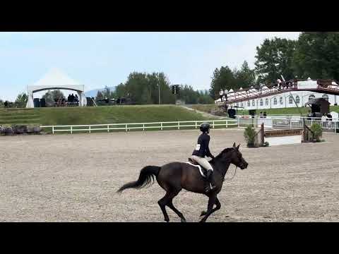 Imajacres Carpe Diem video 3