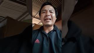 Download lagu Amaedola II OBELI NIFÖ ZÖKHA mp3