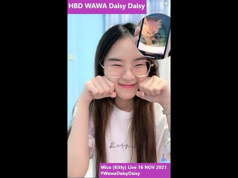 Live HBD วาวา | WAWA DAISY DAISY | Mico Live (Kitty)  💖 16 NOV 2021